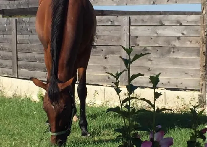 Hotel Couvent De Vaylats